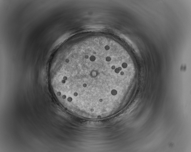 X0000102501354200809051336