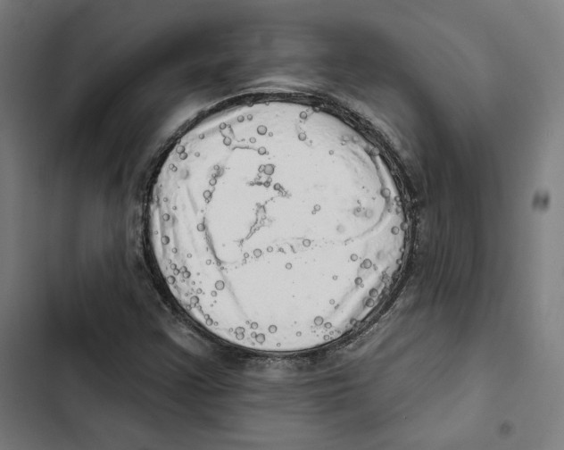 X0000102501355200809051336