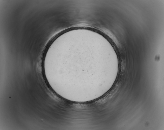 X0000102501356200809051336