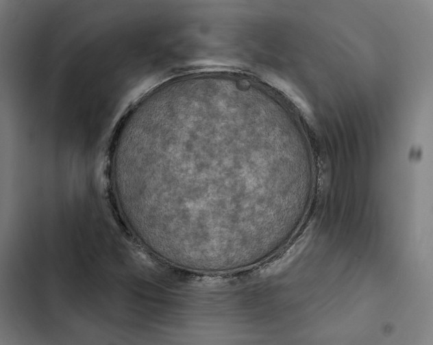 X0000102501357200809051336