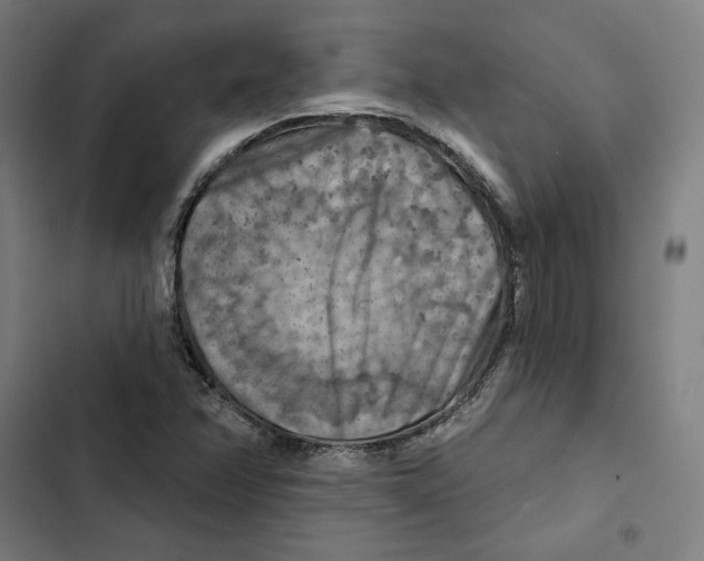 X0000102501358200809051336