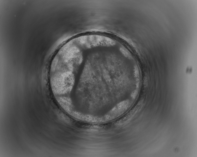 X0000102501359200809051336