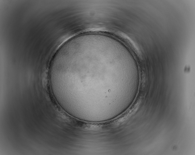 X0000102501361200809051336