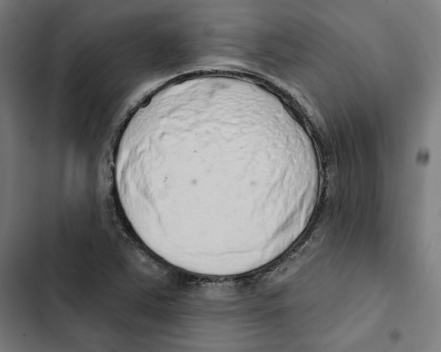 X0000102501363200809051336