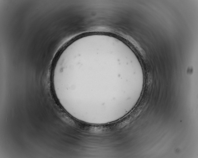 X0000102501364200809051336