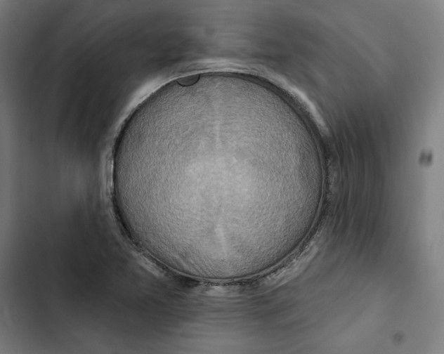 X0000102501365200809051336