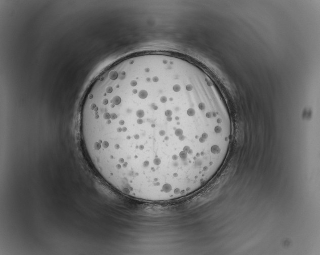 X0000102501366200809051336