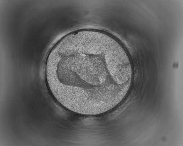 X0000102501367200809051336