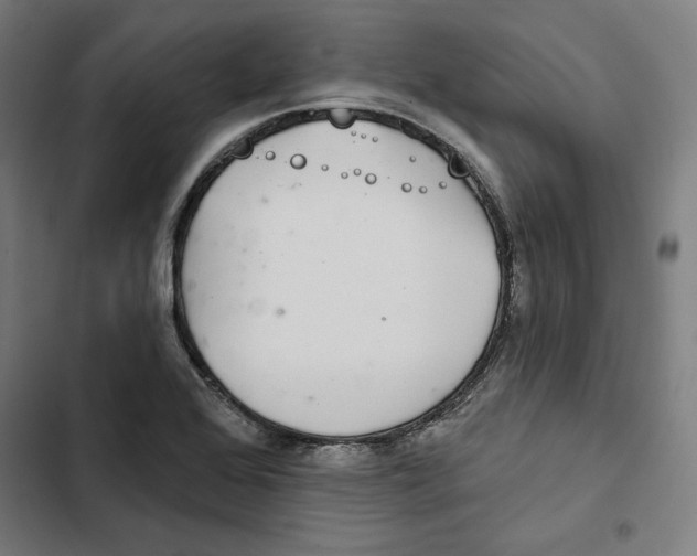 X0000102501368200809051336