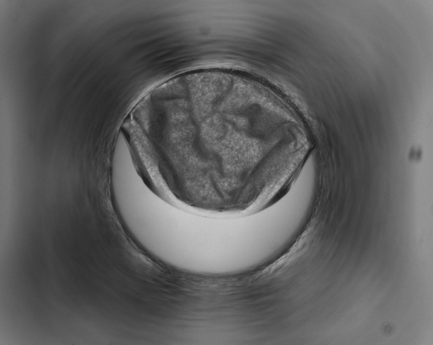 X0000102501369200809051336