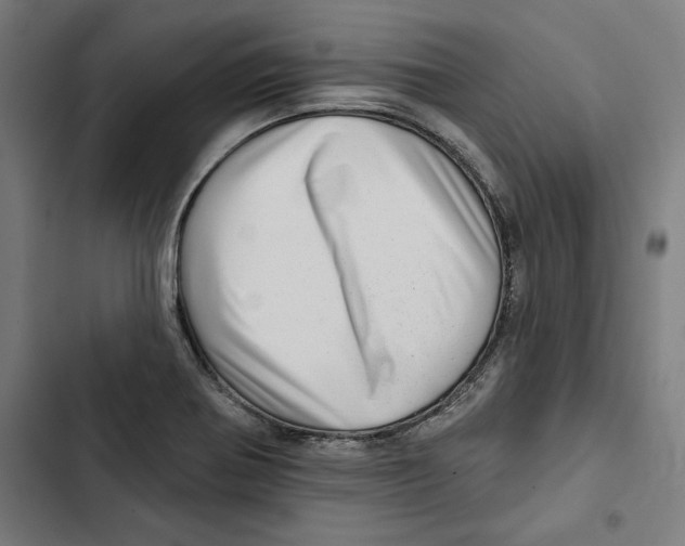 X0000102501370200809051336