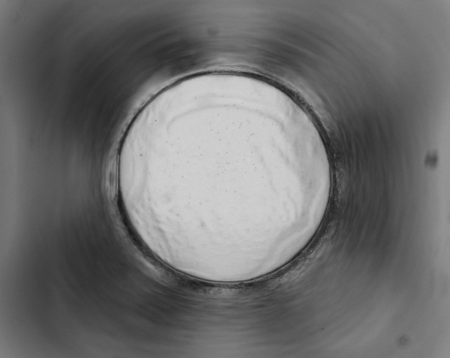 X0000102501371200809051336