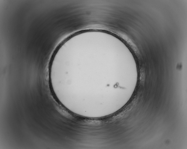 X0000102501372200809051336