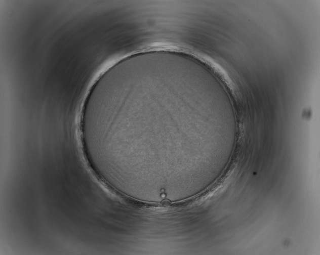 X0000102501373200809051336