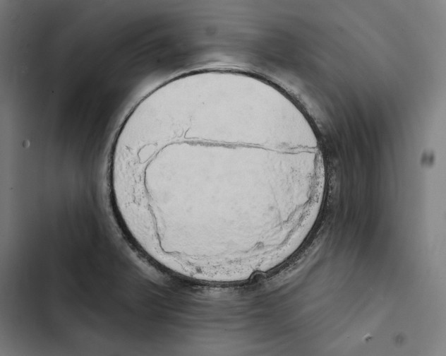 X0000102501375200809051336