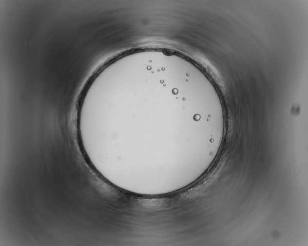 X0000102501376200809051336