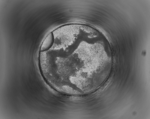 X0000102501379200809051336