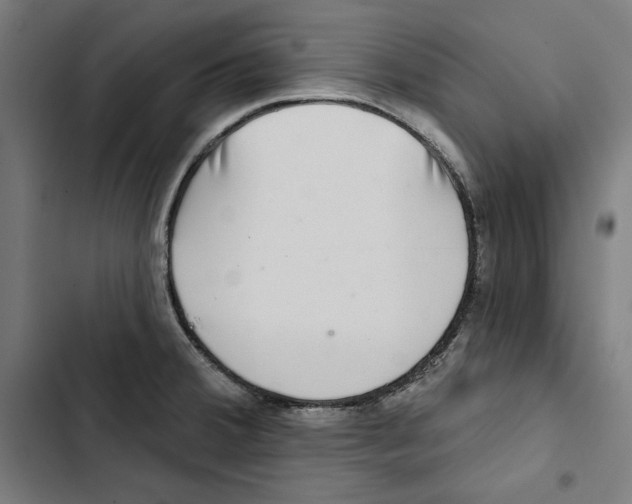 X0000102501380200809051335