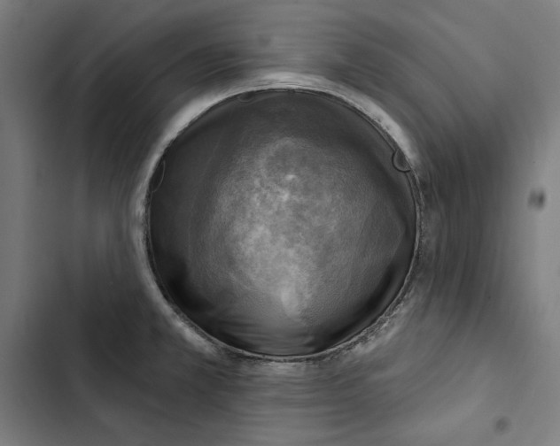 X0000102501381200809051335