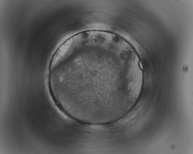 X0000102501383200809051335