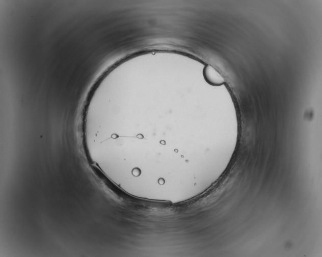 X0000102501384200809051335