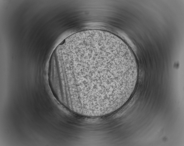 X0000102501386200809051335