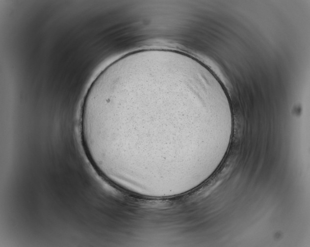 X0000102501387200809051335