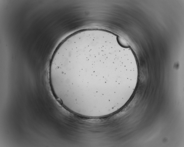 X0000102501388200809051335