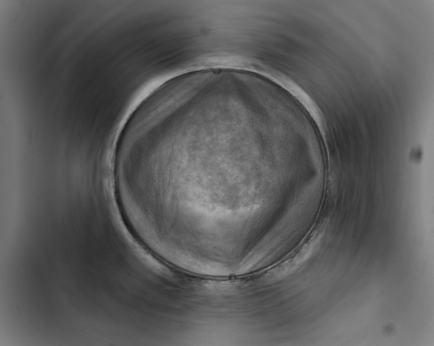 X0000102501389200809051335