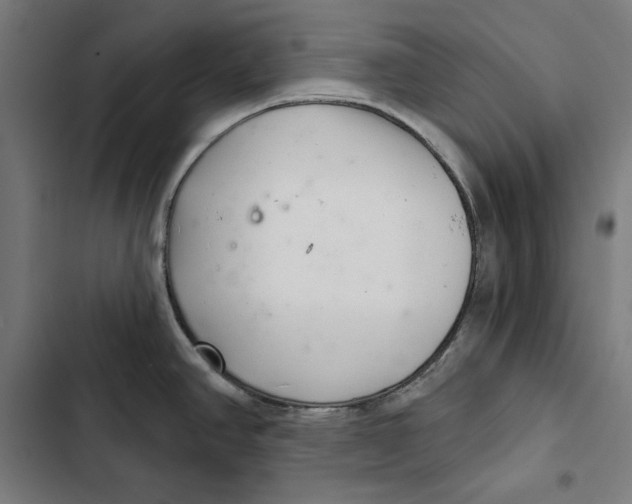 X0000102501390200809051335