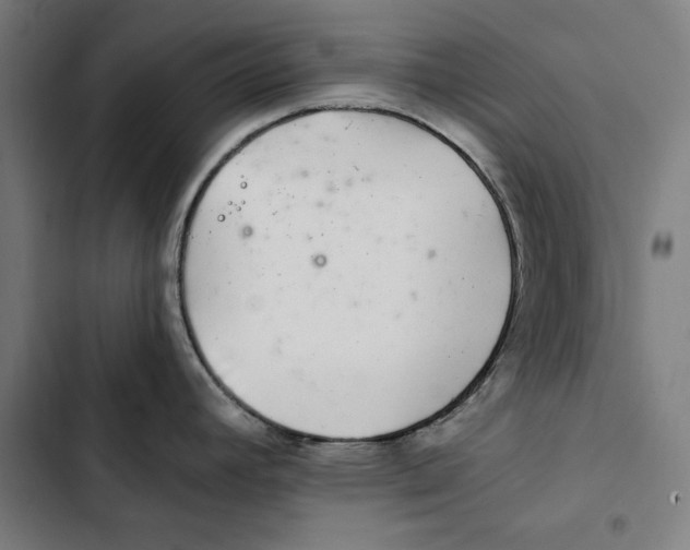 X0000102501392200809051335