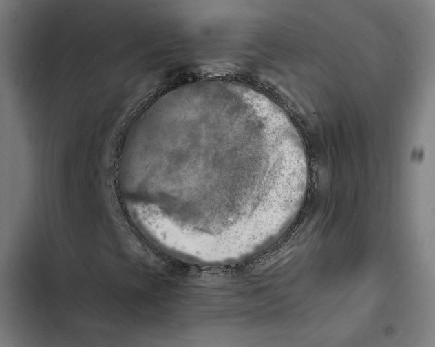 X0000102501393200809051334