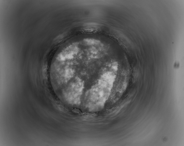 X0000102501394200809051334