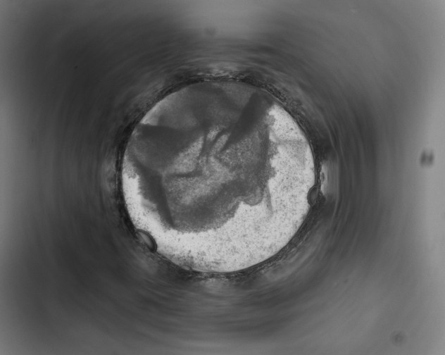 X0000102501395200809051334