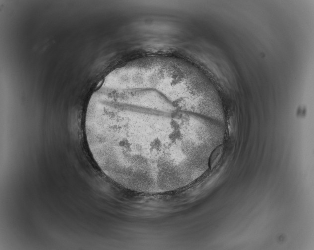 X0000102501396200809051335