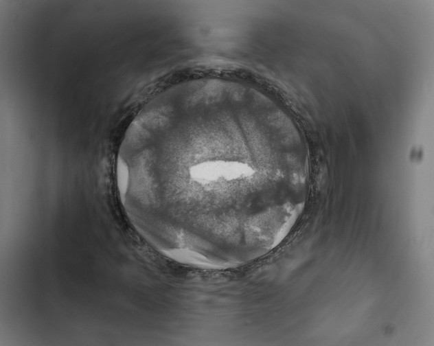 X0000102501397200809051335