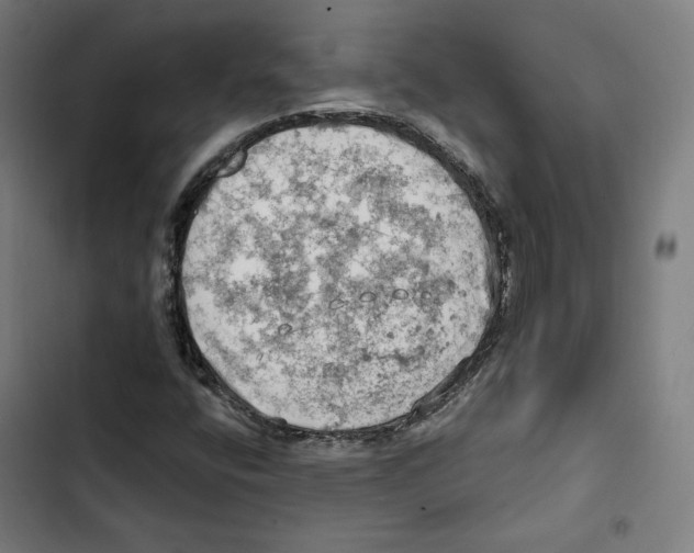 X0000102501400200809051335