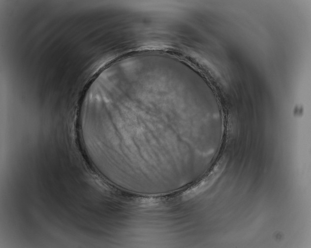 X0000102501401200809051335