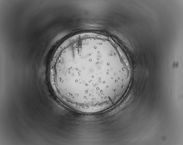 X0000102501402200809051335
