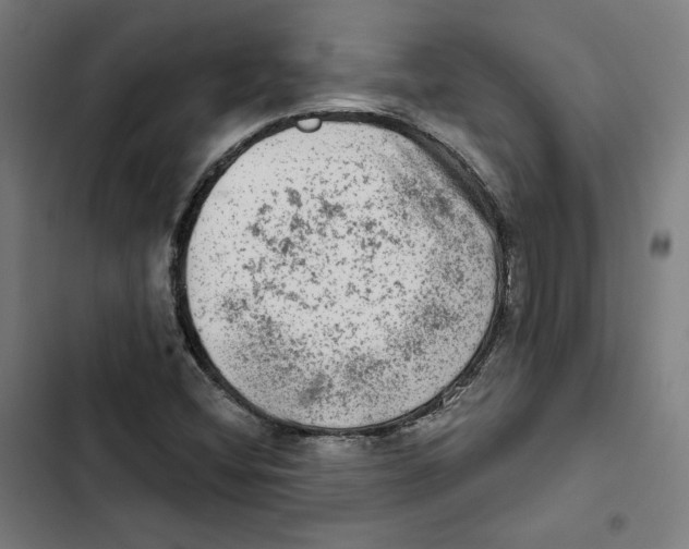 X0000102501404200809051335