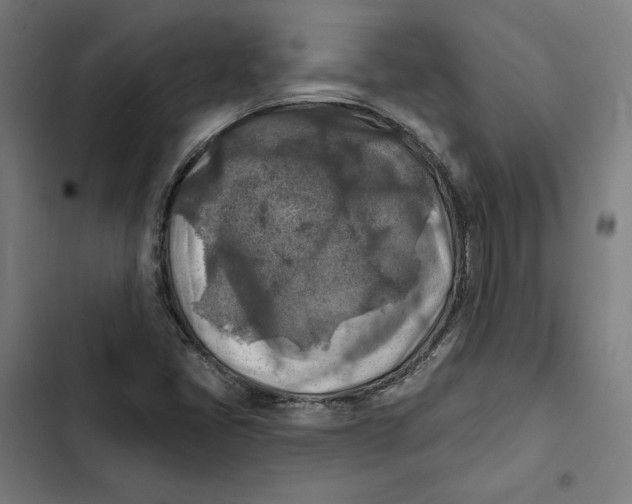 X0000102501405200809051335