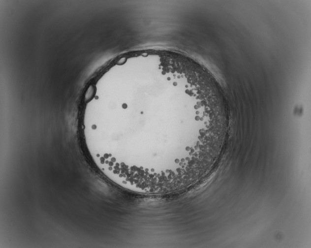 X0000102501406200809051335