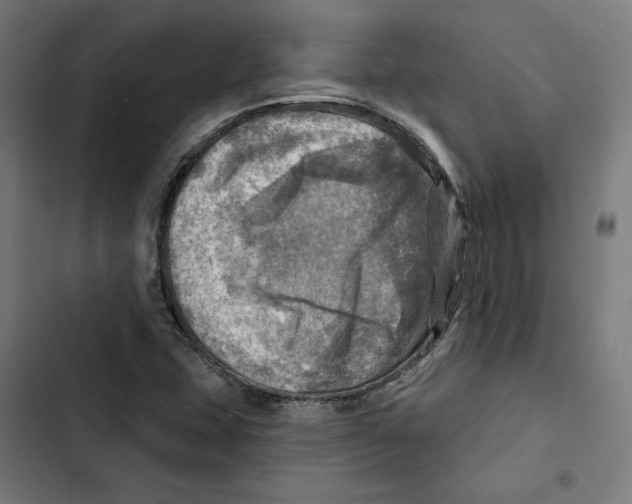 X0000102501407200809051335