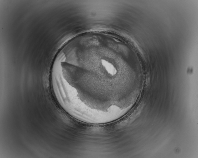 X0000102501409200809051335