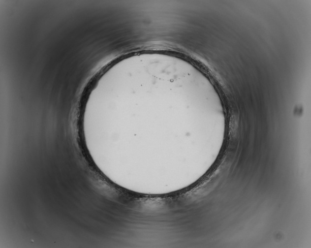 X0000102501410200809051335