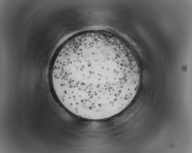 X0000102501412200809051335