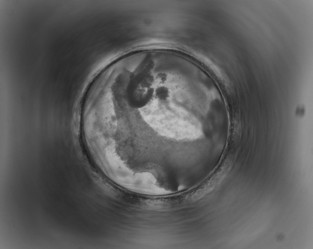 X0000102501413200809051335