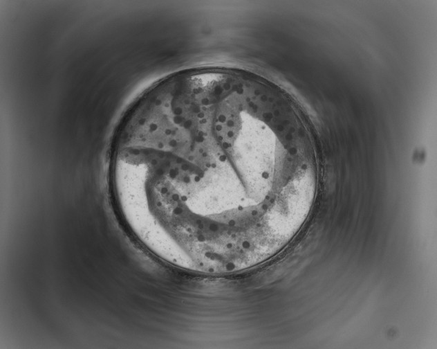 X0000102501416200809051335