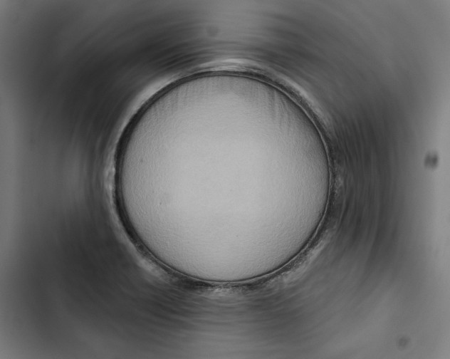 X0000102501418200809051335