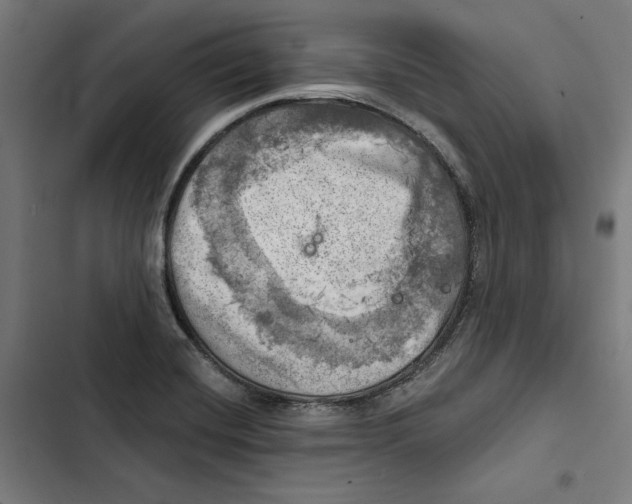 X0000102501420200809051335